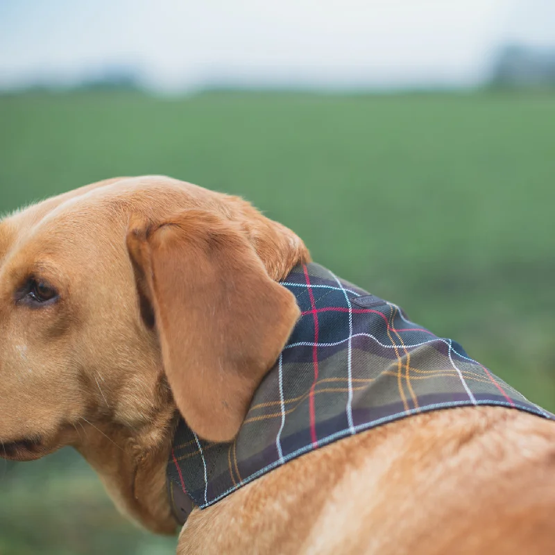 Barbour Tartan Bandana